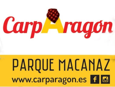 Conciertos Carpa de Aragón